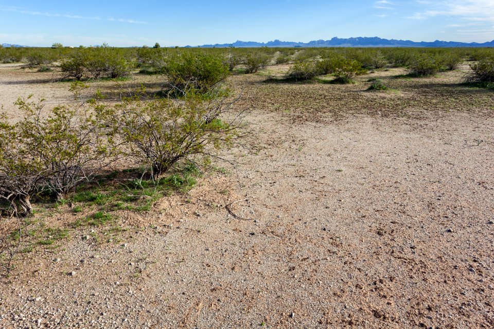 Harquahala Plain