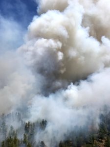 Snake Ridge Fire (May 27, 2017)
