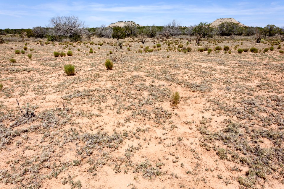 Southwest of the Rayo Hills