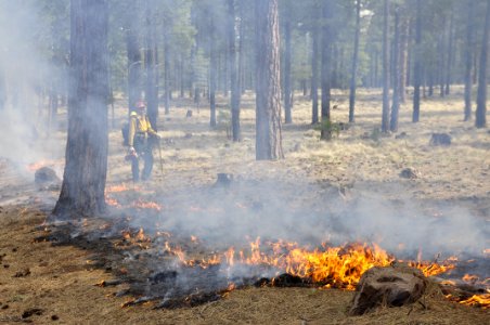 Woody Ridge Rx Burn 4-7-16