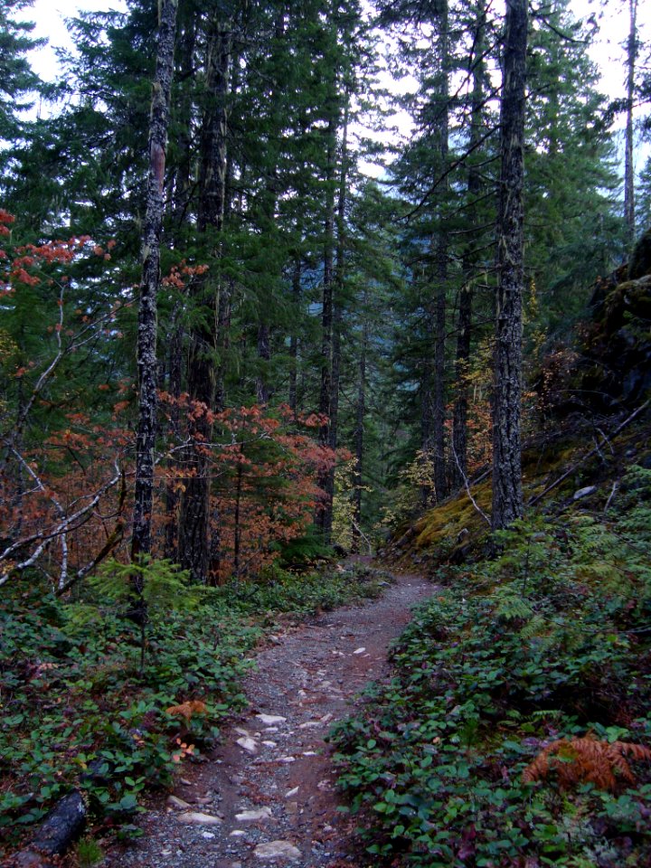 Thunder Knob Trail