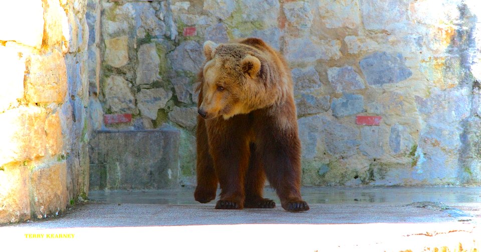 Lisbon zoo Portugal