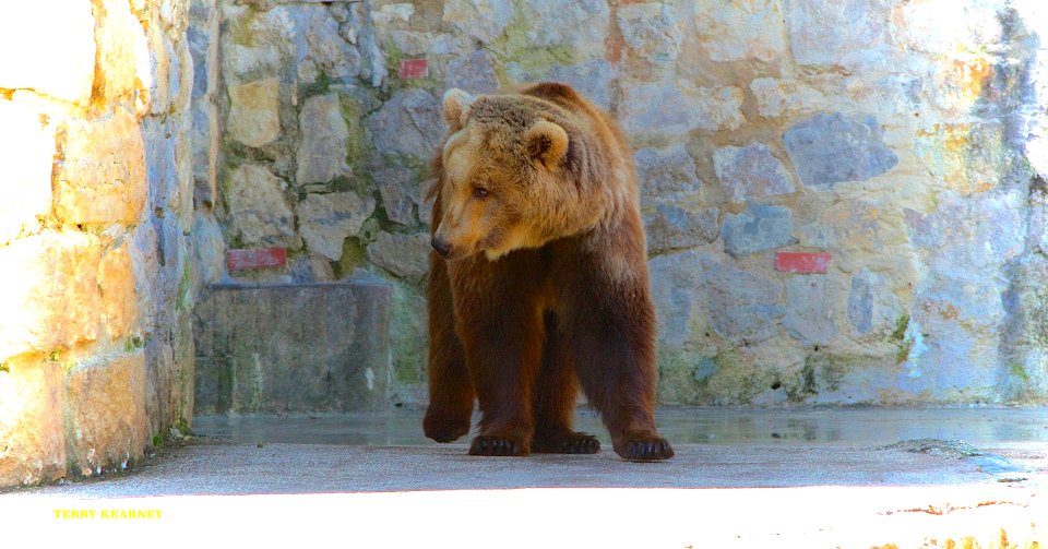 Lisbon zoo Portugal photo