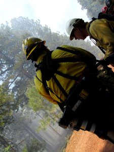 Camillo Fire 2015-06-22: Burnout Operations