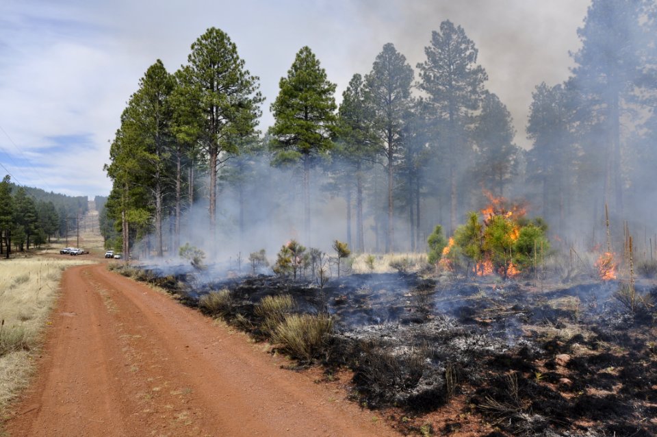 Woody Ridge Rx Burn 4-7-16