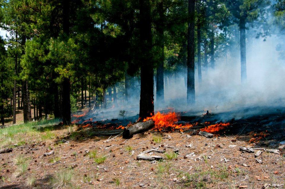 Camillo Fire 2015-06-24