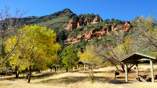 Fall Color in Oak Creek Canyon (November 8, 2017)