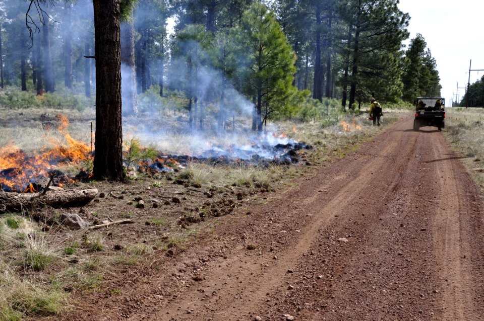 Woody Ridge Rx Burn 4-7-16
