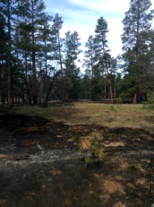 Upper Beaver Creek prescribed burn (April 27, 2017)