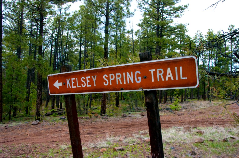 Turn-off to Kelsey Trailhead