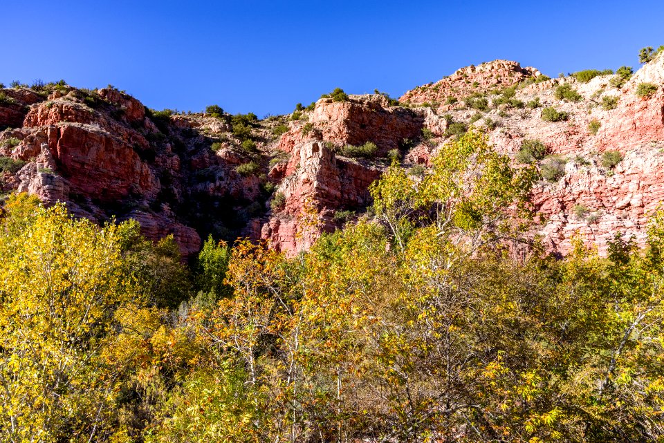 Fall color on Parsons Trail (November 8, 2017)