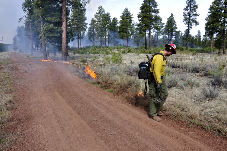 Woody Ridge Rx Burn 4-7-16