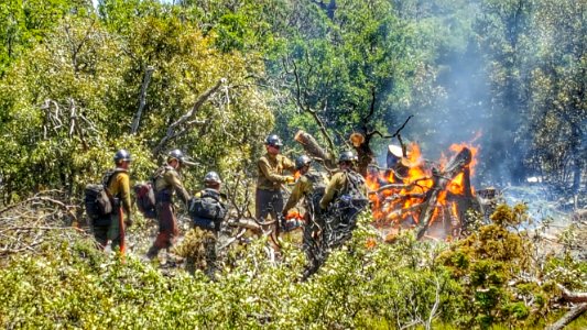 Point Fire (July 25, 2016)
