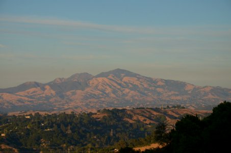 DSC 5261