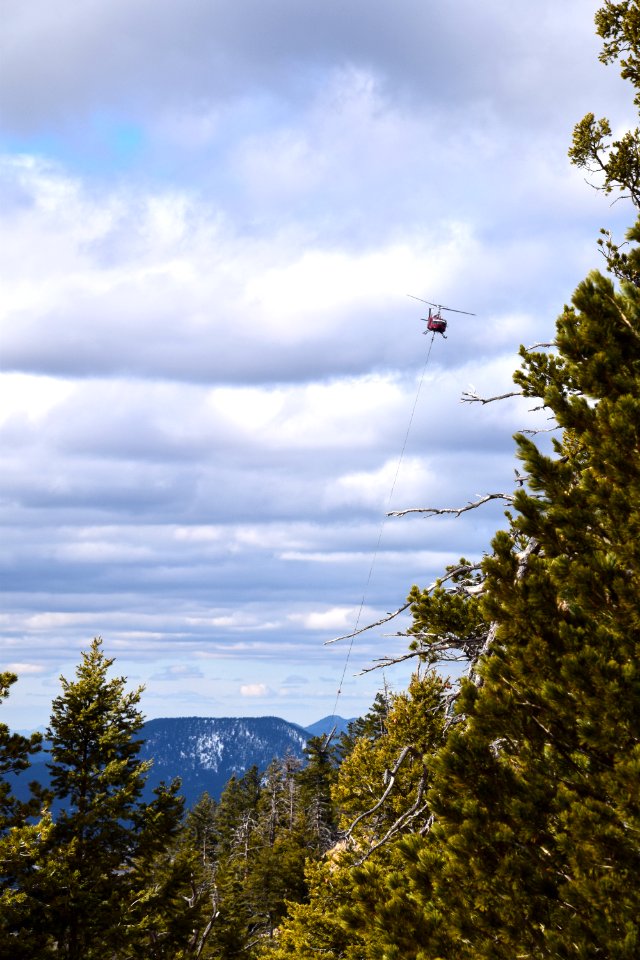 FWPP Helicopter Thinning Operations