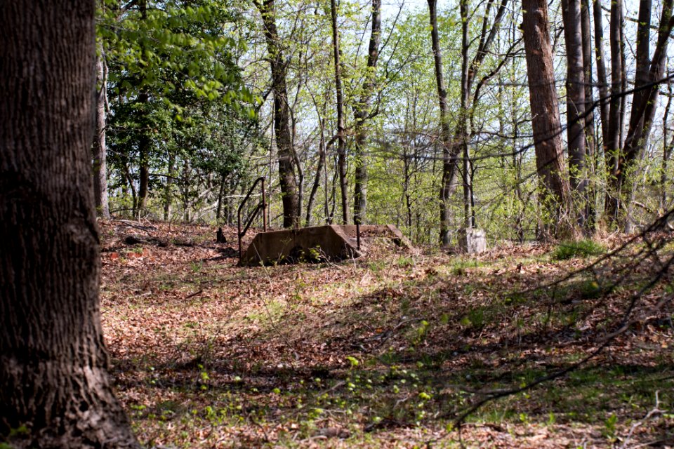 2018 Walk for the Woods Bacon Ridge Natural Area 452