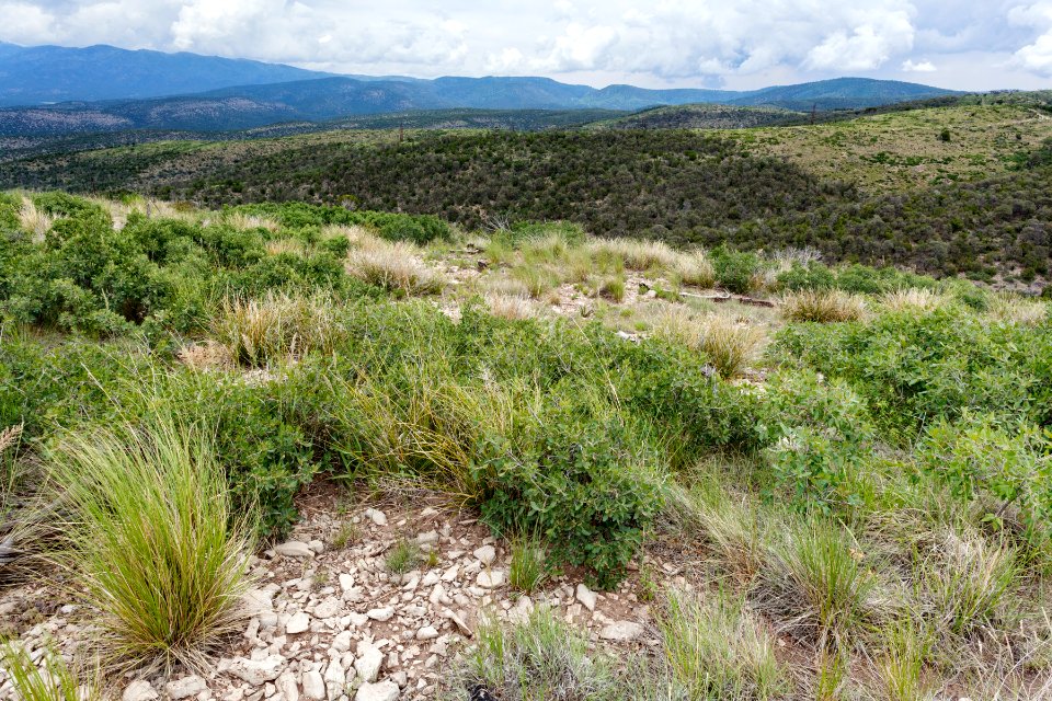 East of Cat Mountain