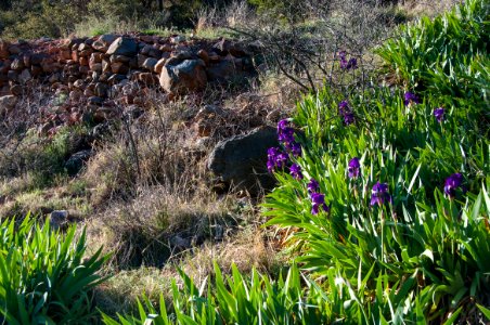 Fossil Springs Trail No. 18
