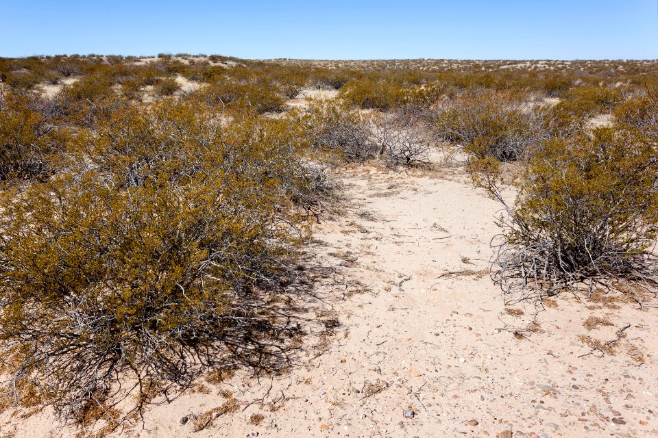 East-northeast of Little Black Mountain