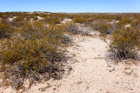 East-northeast of Little Black Mountain
