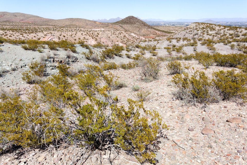 Northeast of Picacho Mountain