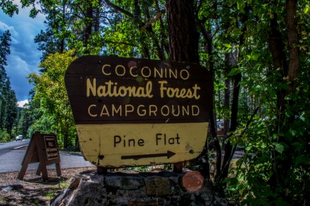 Pine Flat Campground