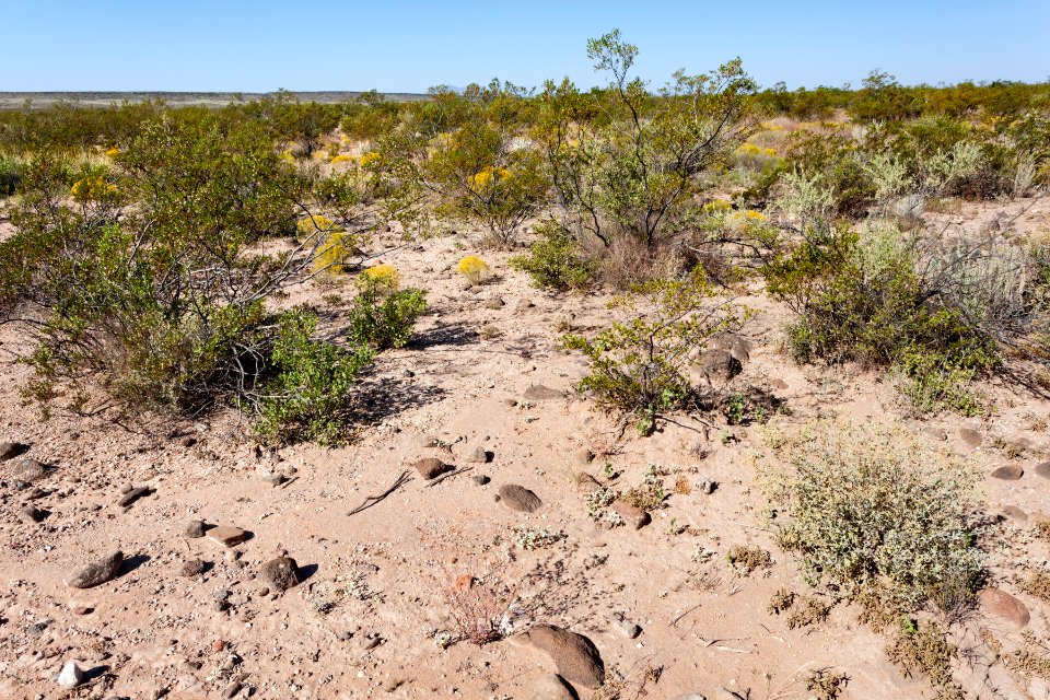 Northeast of Flat Hill