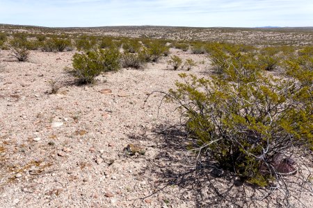 Northwest of Radium Springs