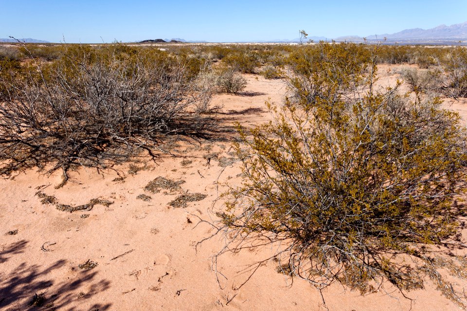 North-northeast of Little Black Mountain
