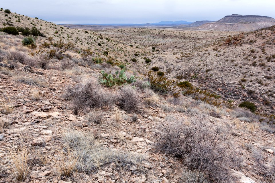 Southern Sierra de las Uvas