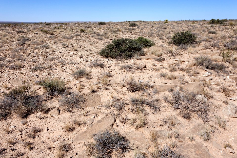 Eastern Otero Mesa