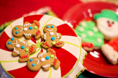 Gingerbread cookie holiday photo