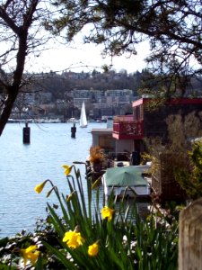 Sunny Lake Union
