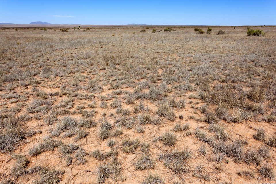 West of Alamo Mountain