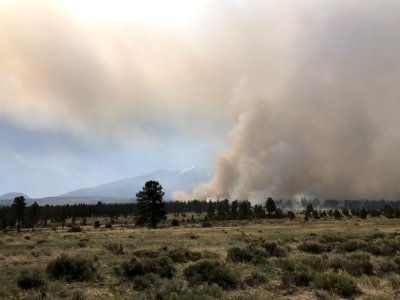 Horseshoe Project (April 21, 2017)