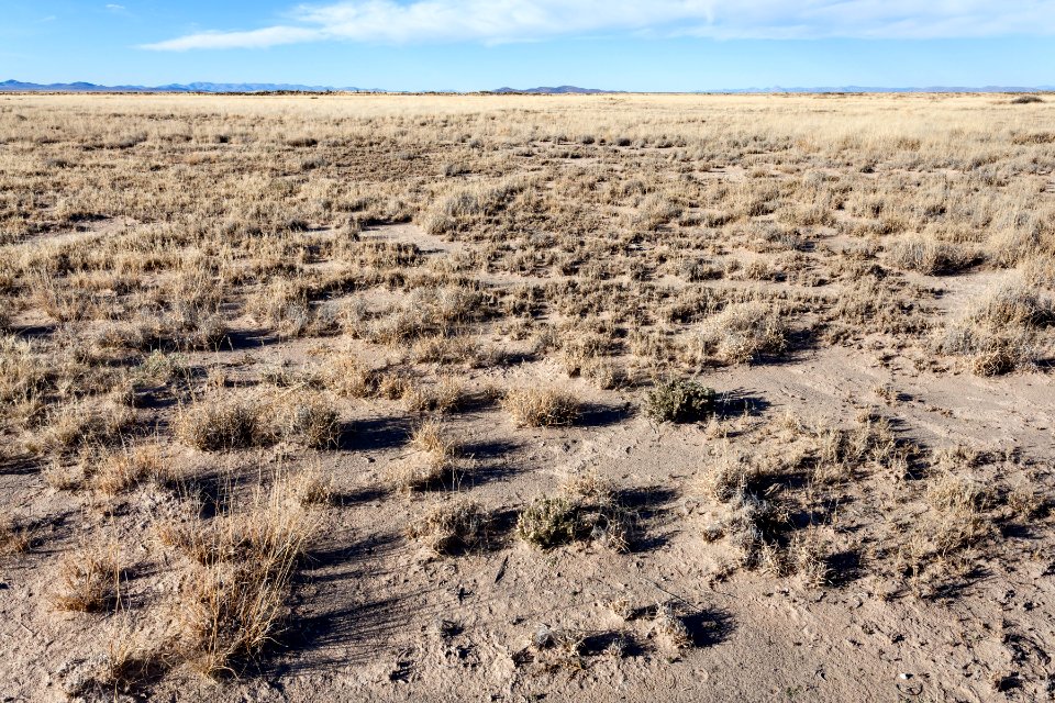 Lordsburg Playa