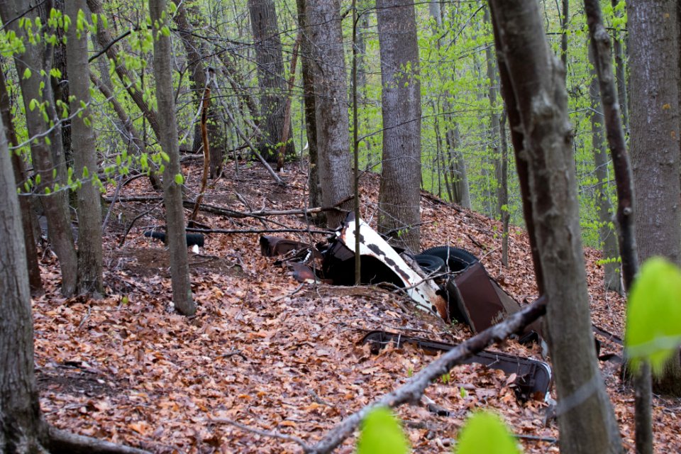 2018 Walk for the Woods Bacon Ridge Natural Area 177