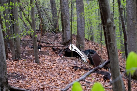 2018 Walk for the Woods Bacon Ridge Natural Area 177