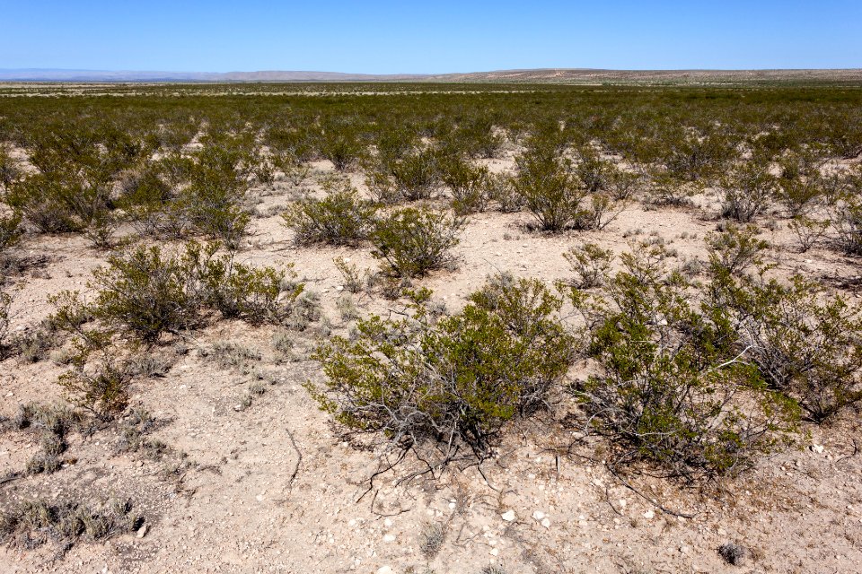 Eastern Otero Mesa