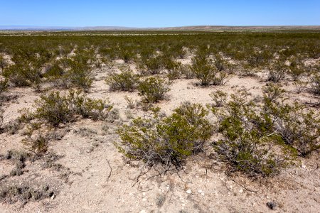 Eastern Otero Mesa