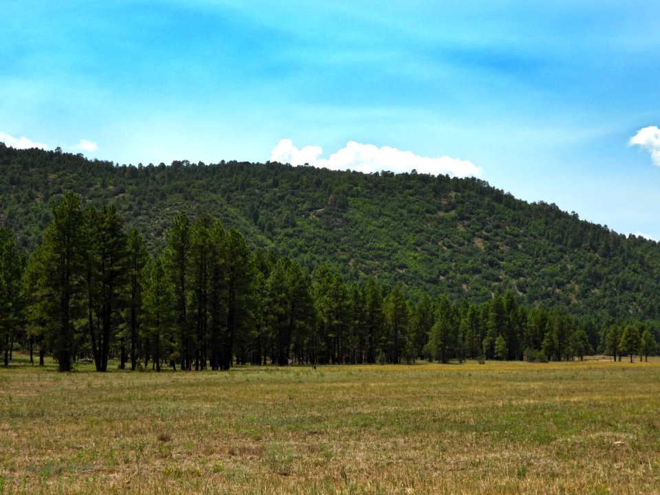 Apache Maid Lookout