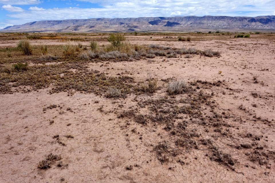 Northeast of Hackberry Hill