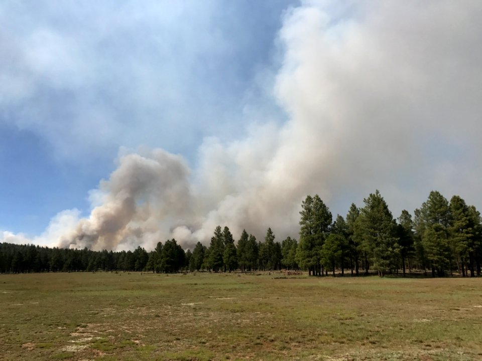 Snake Ridge Fire (May 27, 2017)