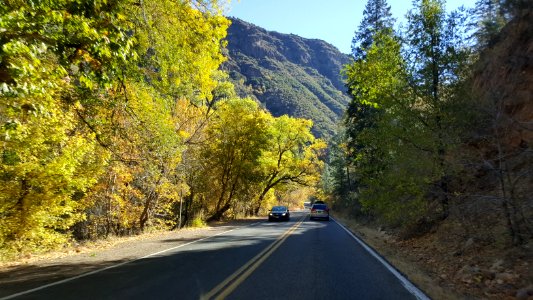Fall Color in Oak Creek Canyon (November 8, 2017)