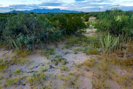 East side of the Rio Grande near Berino
