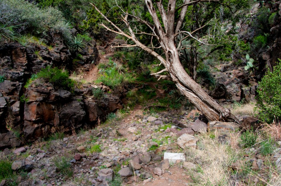 Flume Trail to Fossil Creek Dam