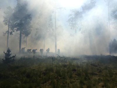 Freidlein Fire (June 19, 2017)