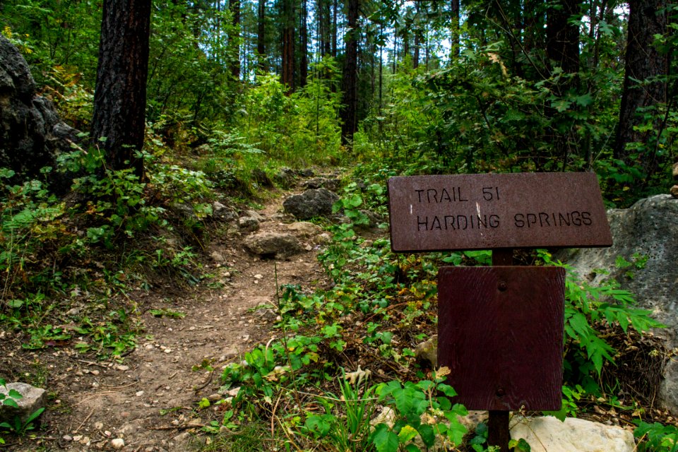 Cave Springs Campground