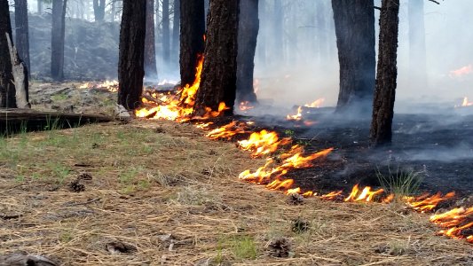 Snake Ridge Fire (May 24, 2017)