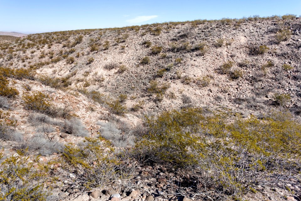 Eastern Sierra de las Uvas